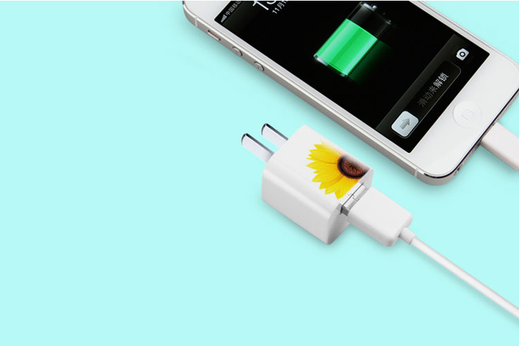 迷你USB充電器全球通用